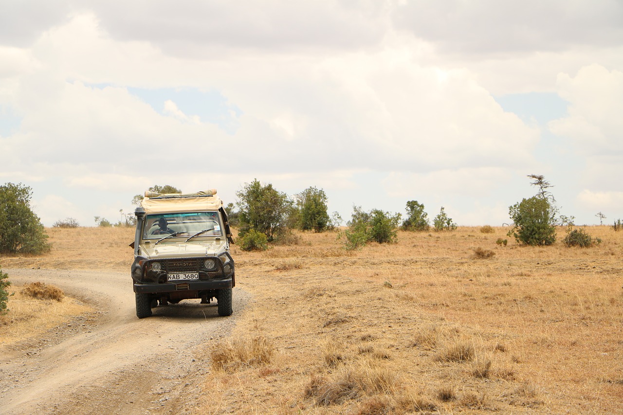 tourists, safari, kenya-2868928.jpg